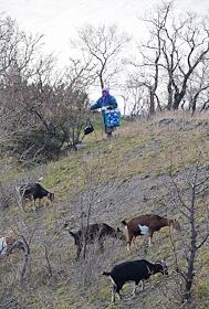 Россия.Республика Крым.Ялта,Симеиз