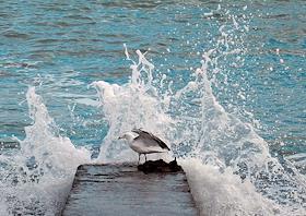 Золотоискатели на пляжах в Крыму