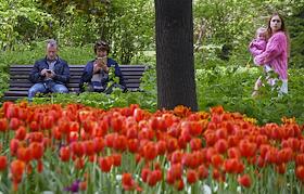 Растения Аптекарского огорода на Проспекте мира