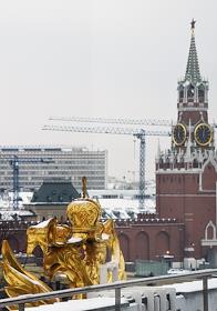 Жанровые фотографии