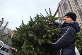 Елочные базары Москвы