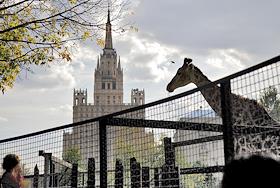 Московский зоопарк